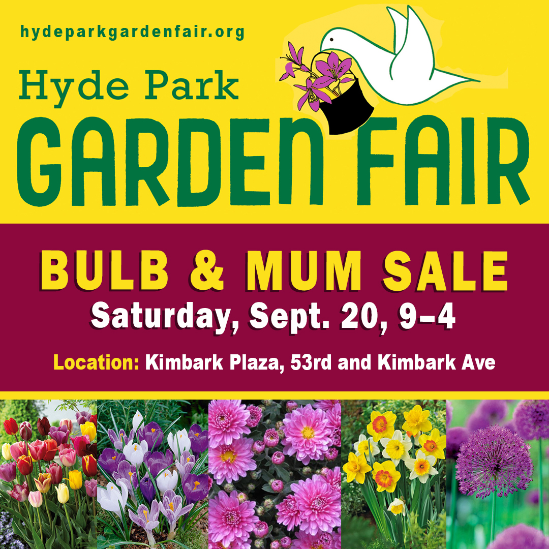 2025 gf fall socialmedia