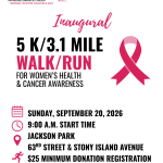 DSFIT2RUN (2)